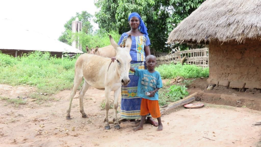 A Sabari, Hina Diamanka, a profité de cette bourse pour acheter un ane pour faciliter ses transports de marchandises et son activité dans la rizière.