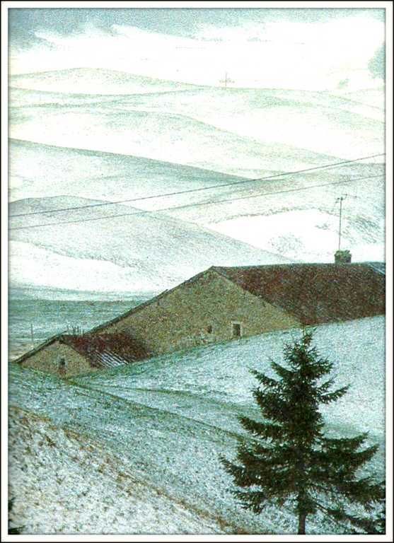 Paysage de neige - massif du Jura