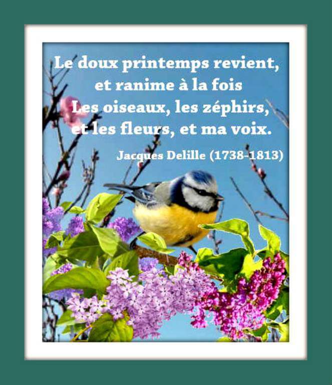 Rsultat de recherche dimages pour citation printemps