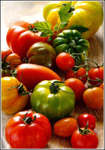 Fruits d'été - tomates