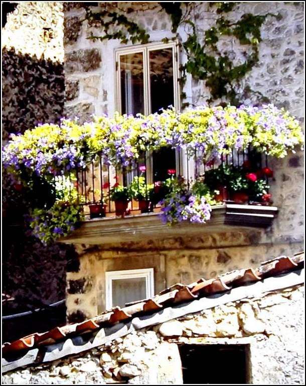 Fenêtres et balcons fleuris