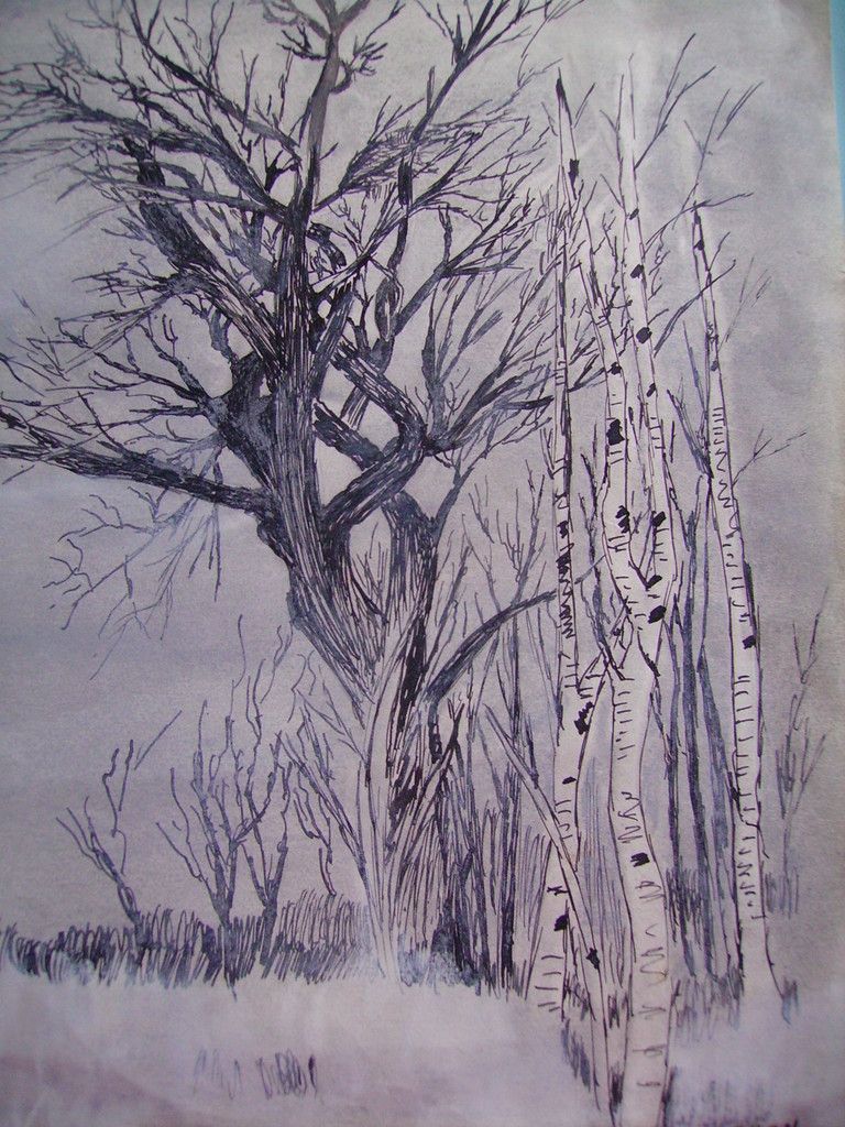  Pastel et encre  réalisé par moi, il y a bien longtemps