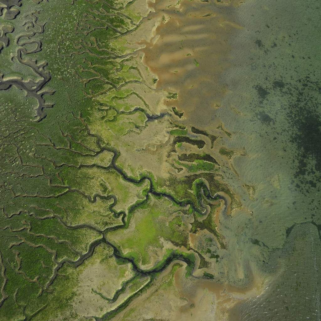 rencontre montmorency