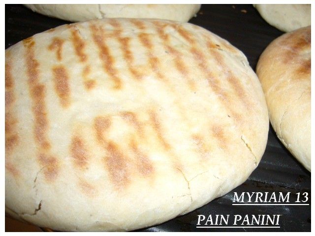 PANINI