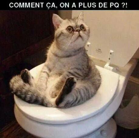 Blague, image et video drole 100% Humour 