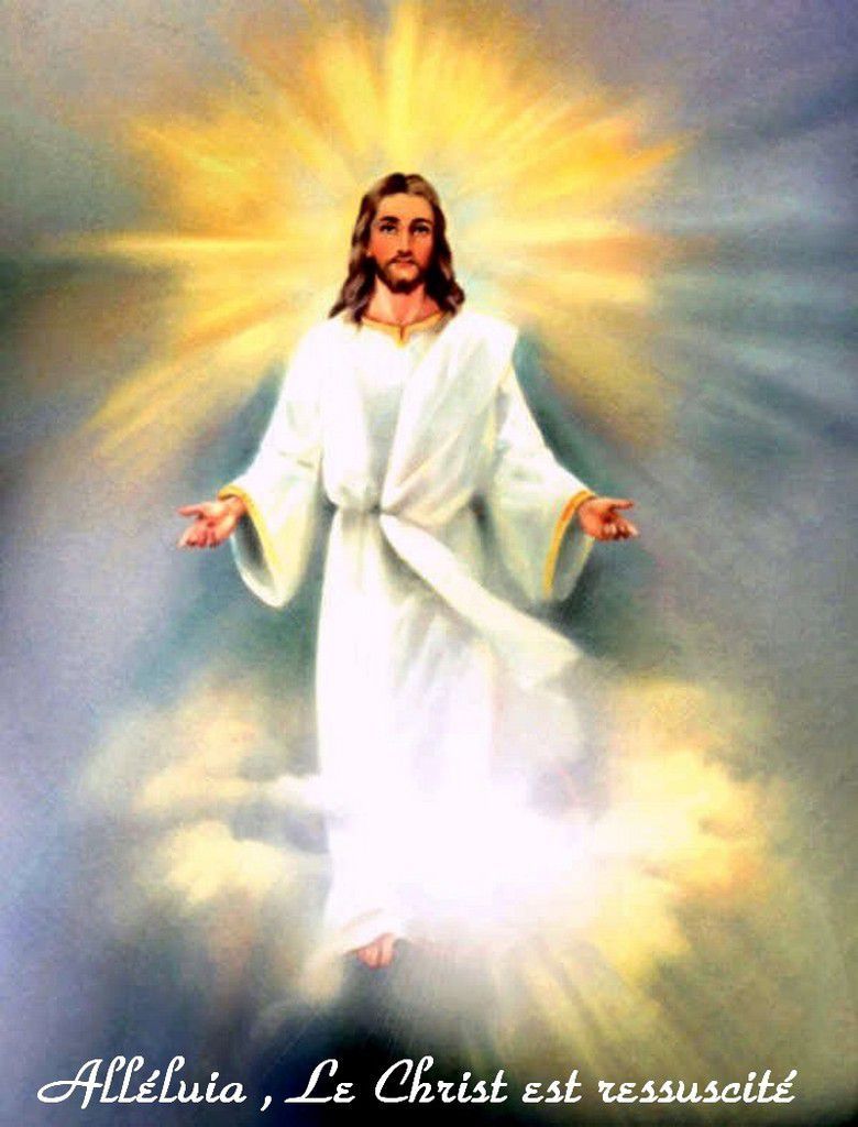 L’Ascension révèle la mission de Jésus : nous attirer vers le Père 