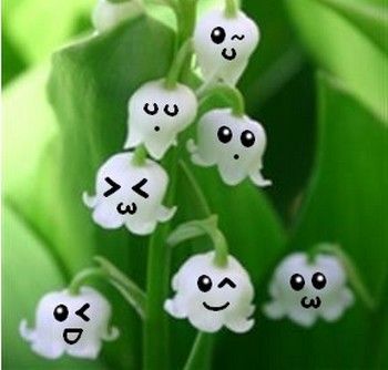 ob_85b713_muguet-humour.jpg