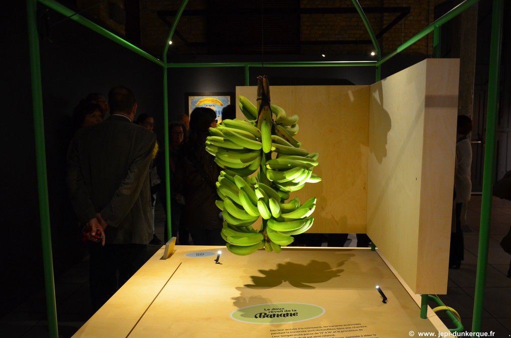 Exposition La Banane Musée Portuaire - Dunkerque 2016