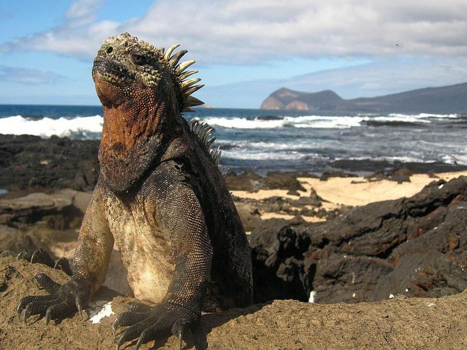 rencontre chaleur tropical