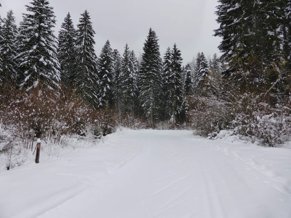 Lac des RougesTruites LES DÉTOURS DE SYLVAIN