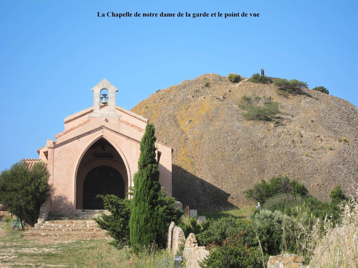chat la ciotat