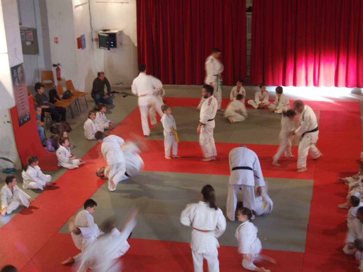 VOLONNE              Diverses manifestations organisées par le Judo Club 