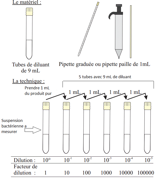 Méthode de dénombrement des micro-organismes en milieu liquide (Méthode  dite du nombre le plus probable). - biotechnologie