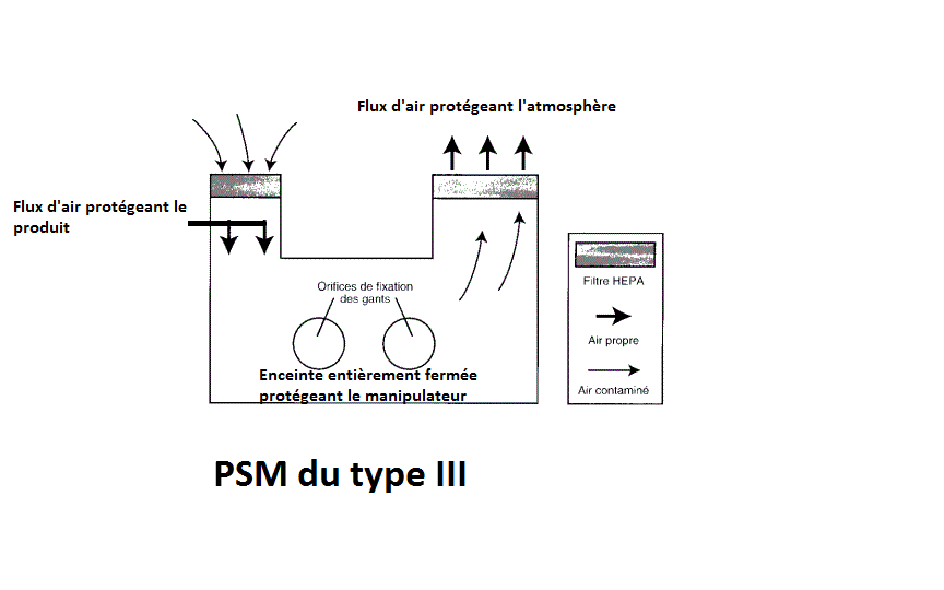 technique d analyse microbiologique