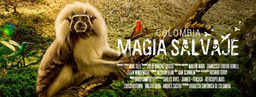 Une autre image de la Colombie !