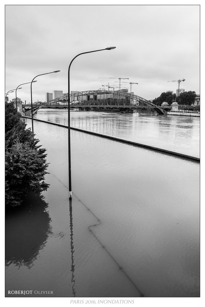 Paris, les pieds dans l'eau...