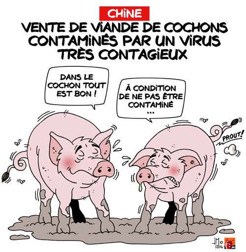 Chine : vente de viande de cochon contaminée