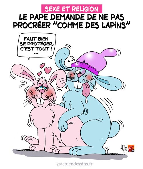 Le Pape : ne procréez pas "comme des lapins"