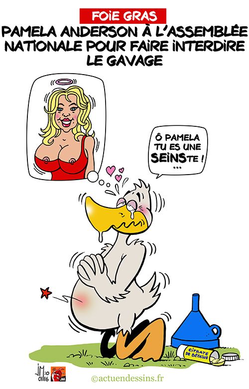 Pamela Anderson à l’Assemblée Nationale !