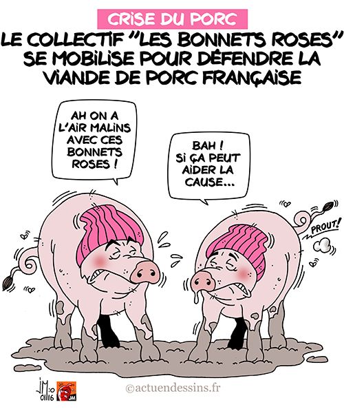 Crise du porc : «Les Bonnets Roses» en révolte !