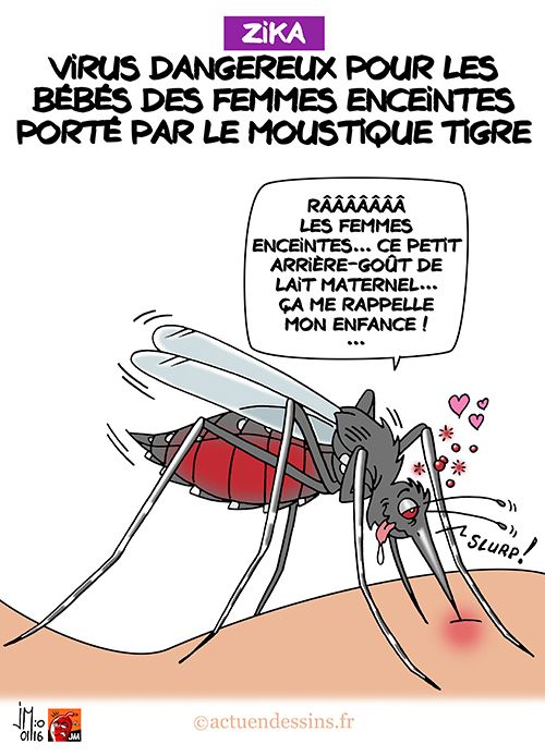 Des prostituées notées sur internet
