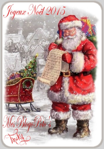 ob_8ceb03_blog-noel-2015-mes-blogopoto-s.png
