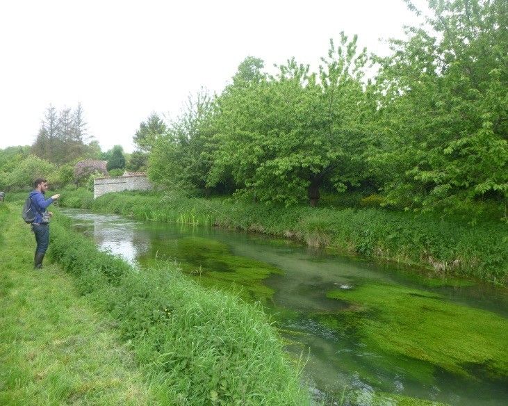 peche truite juine