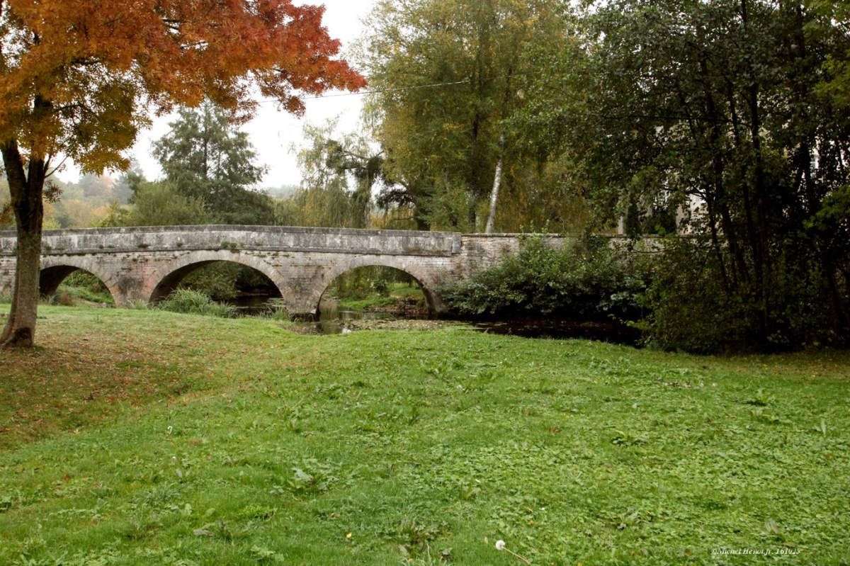 Puissance d’un chêne&hellip;.et autres clichés d’automne &hellip;. un pont sur la Charente&hellip;. un barrage sur la Charente&hellip;. un autre pont &hellip;.un calvaire sous les feuilles&hellip; et des champignons.
