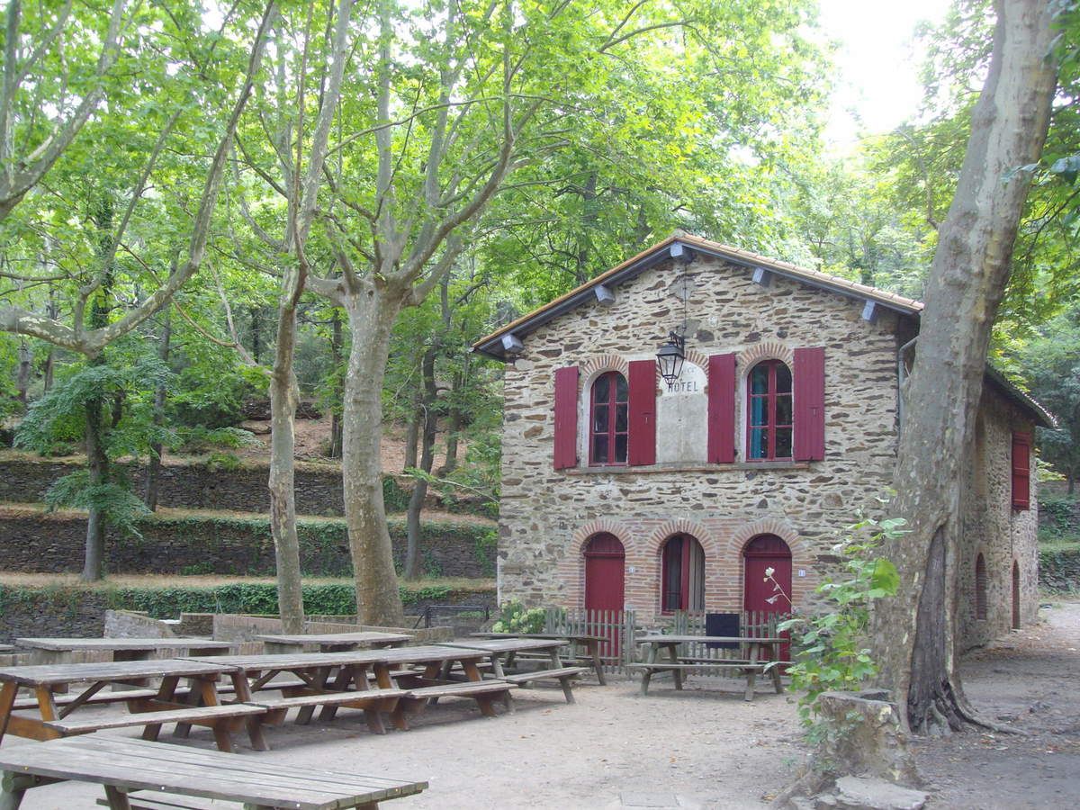 rencontre banyuls sur mer