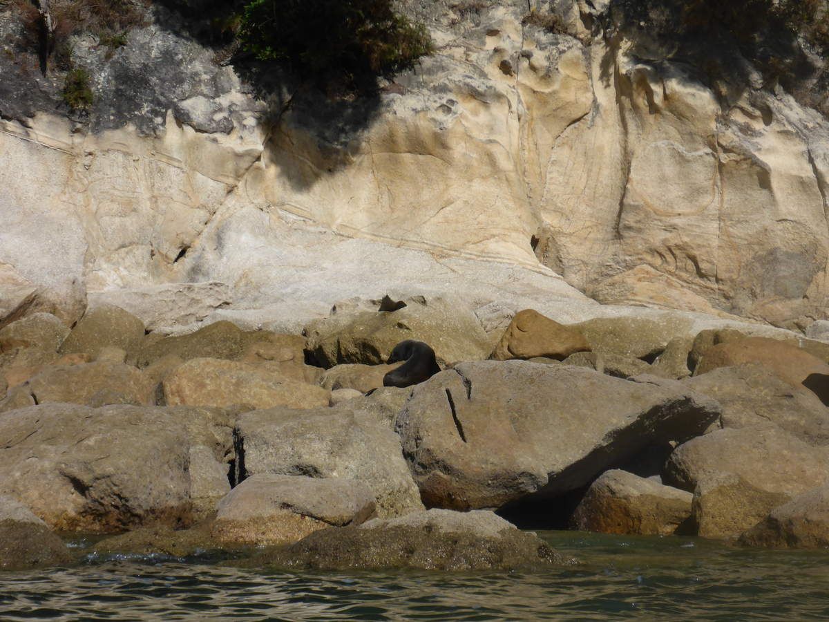 Queen Charlotte Track & Abel Tasman