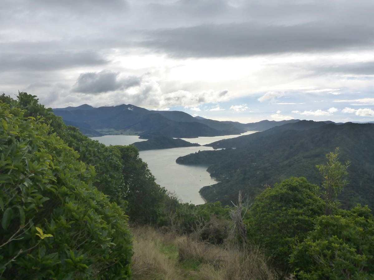 Queen Charlotte Track & Abel Tasman