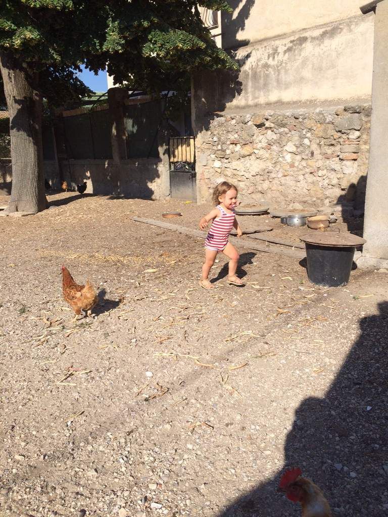 Un enfant, des poules, le bonheur tout simplement !