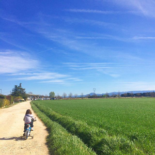 La France en bleu