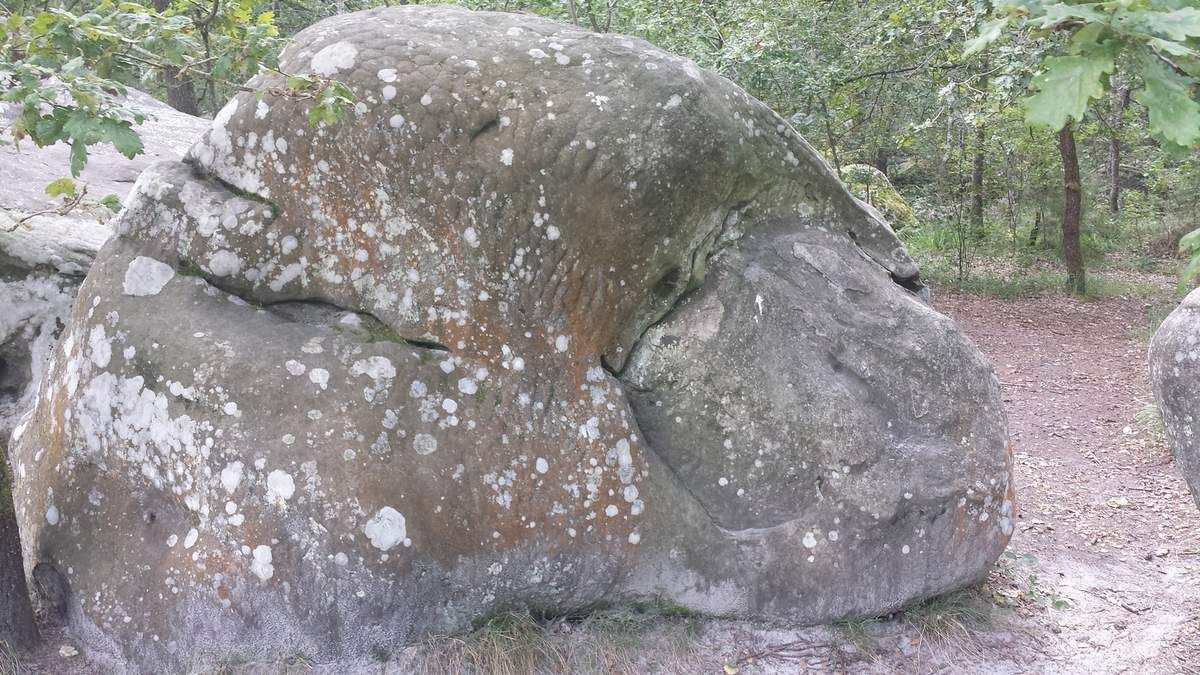 prostituees foret fontainebleau