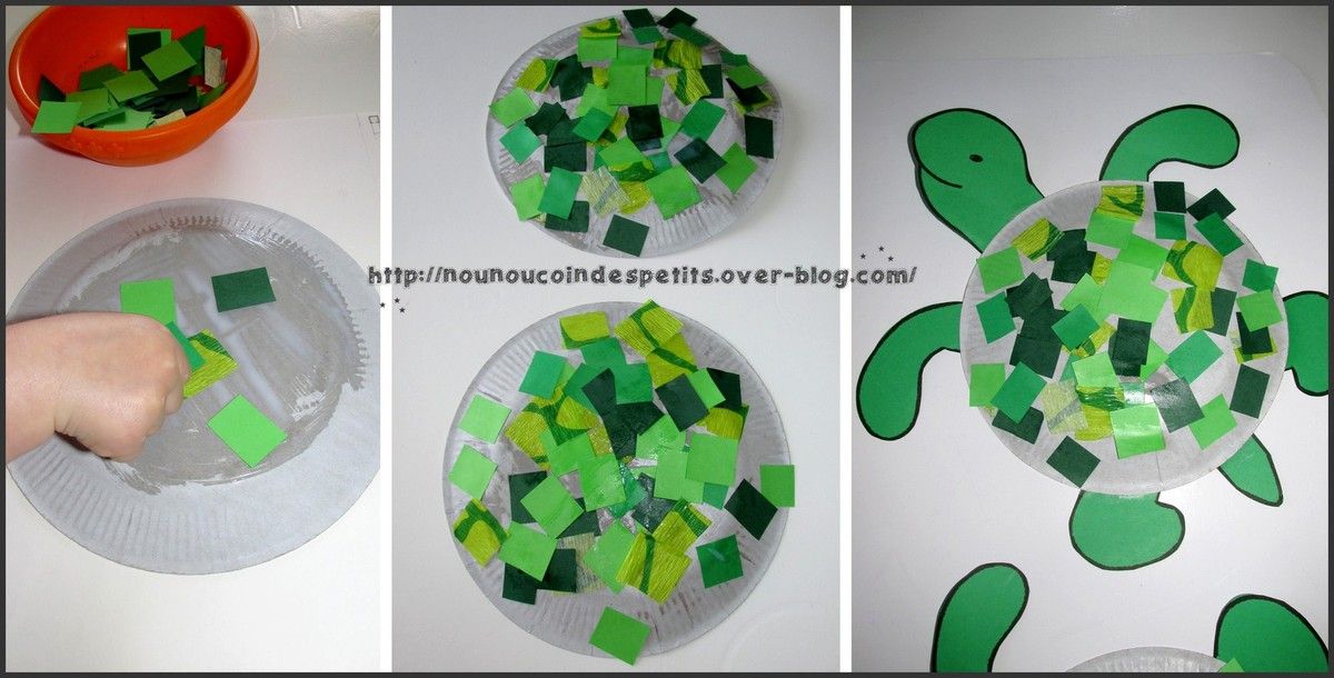 .. Animaux .. " la famille tortue "