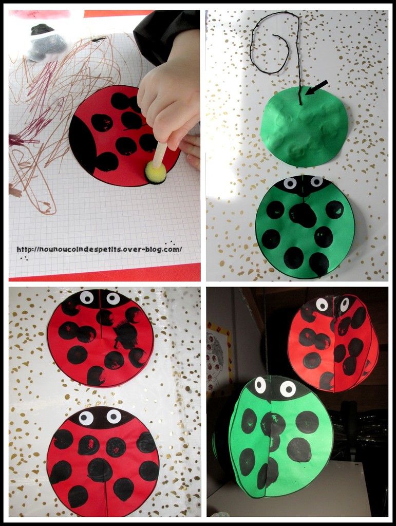 .. Coccinelle 3D ..