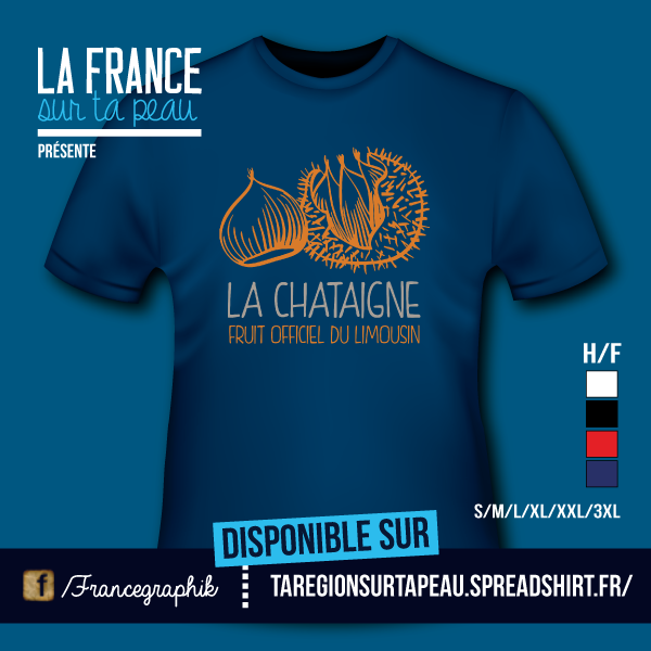 T-shirt France - Limousin - La chataigne du Limousin