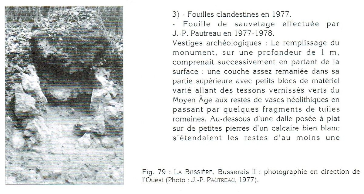 Scanné de l'Inventaire des mégalithes de France, La Vienne par Jean-Pierre Pautreau et Montserrat Mataro I Pladelasala