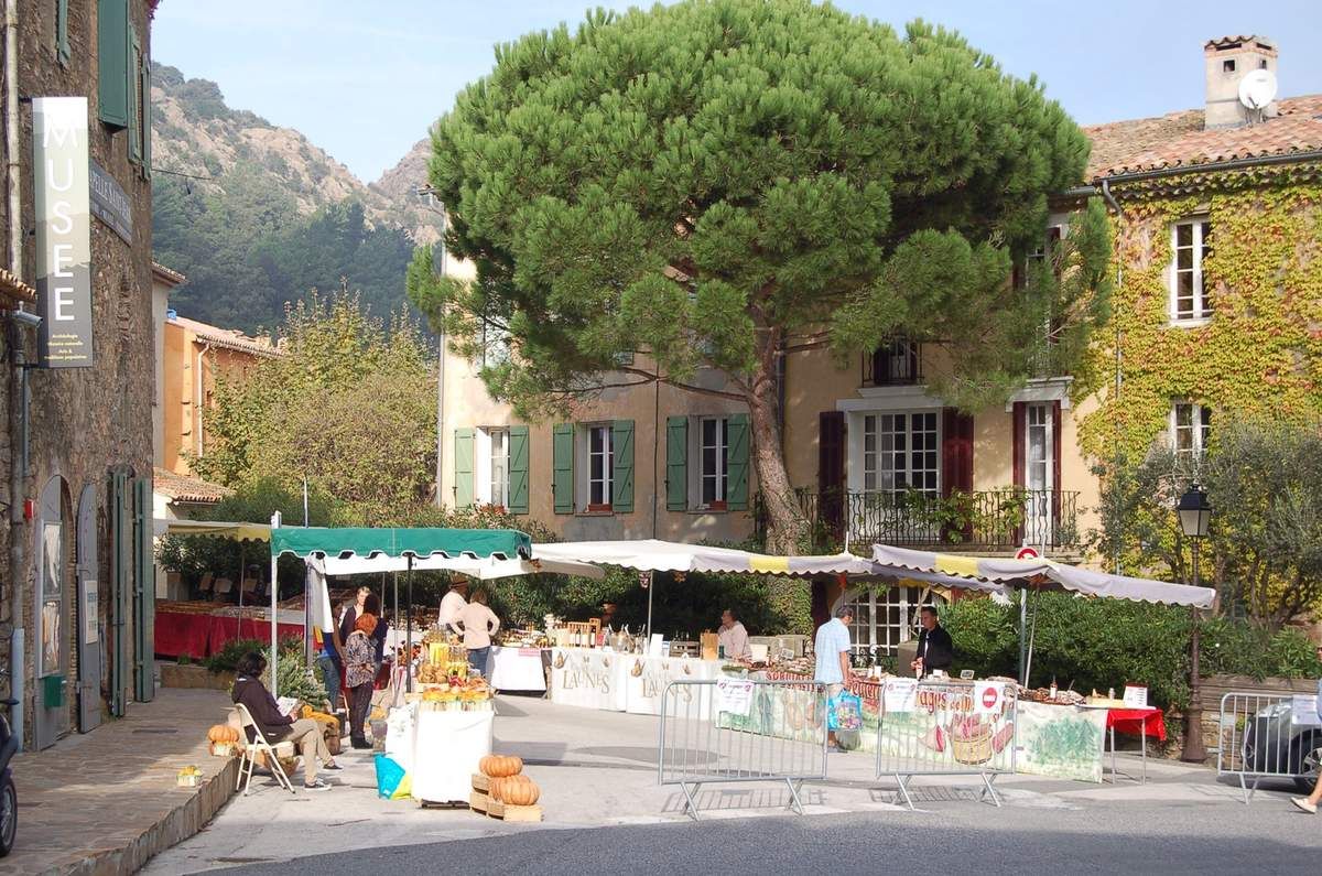 Fete De La Chataigne La Garde Freinet 2022 Fête de la châtaigne à La Garde Freinet - De ci de là en Europe et en Asie