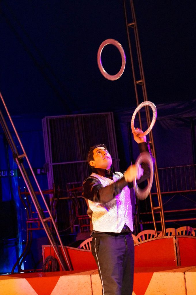 Le cirque Zavatta à Avallon en 2014