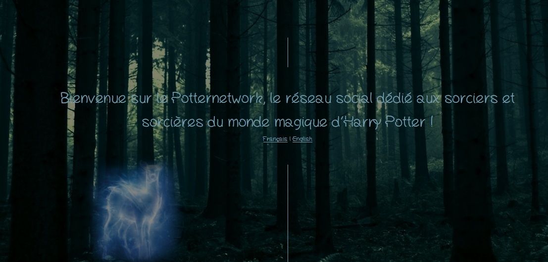 Harry potter en français picture