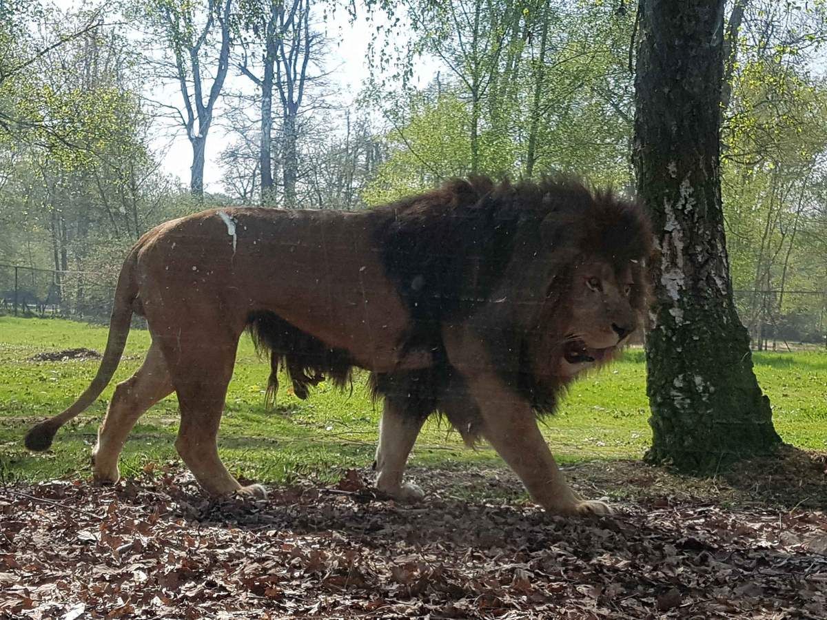 rencontre thoiry 01