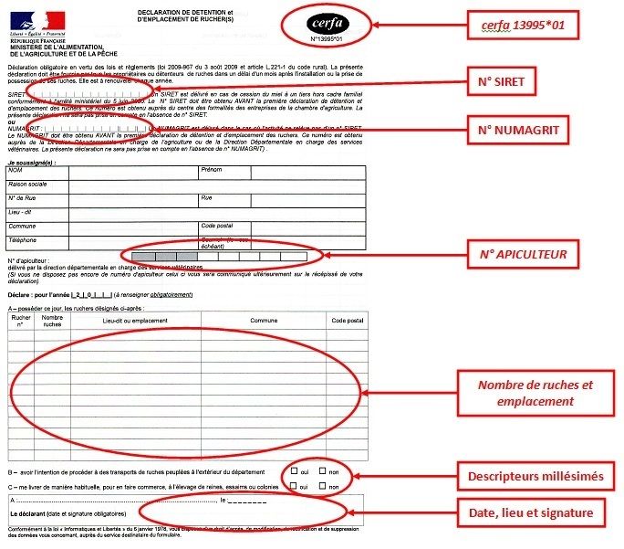 comment declarer une procedure en c