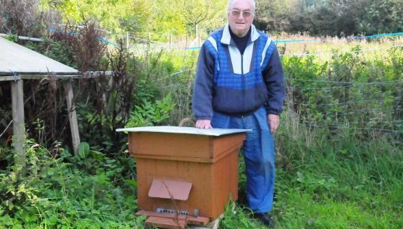 Frelon d'Asie sur le Pas de Calais !