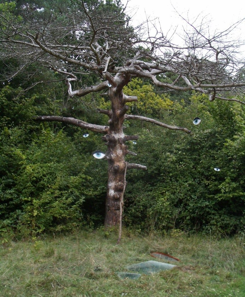 Intervention pour "IN SITU"