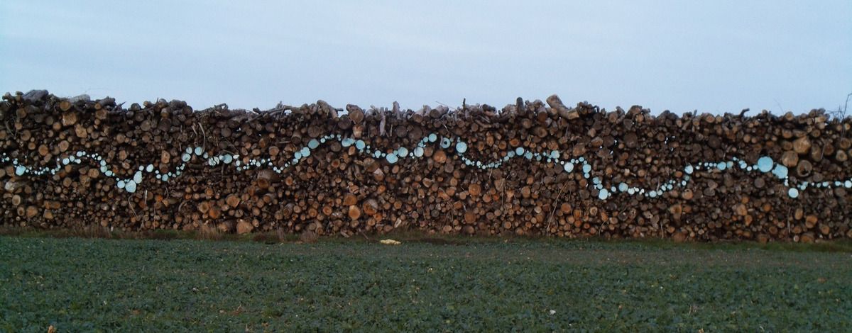 La fissure