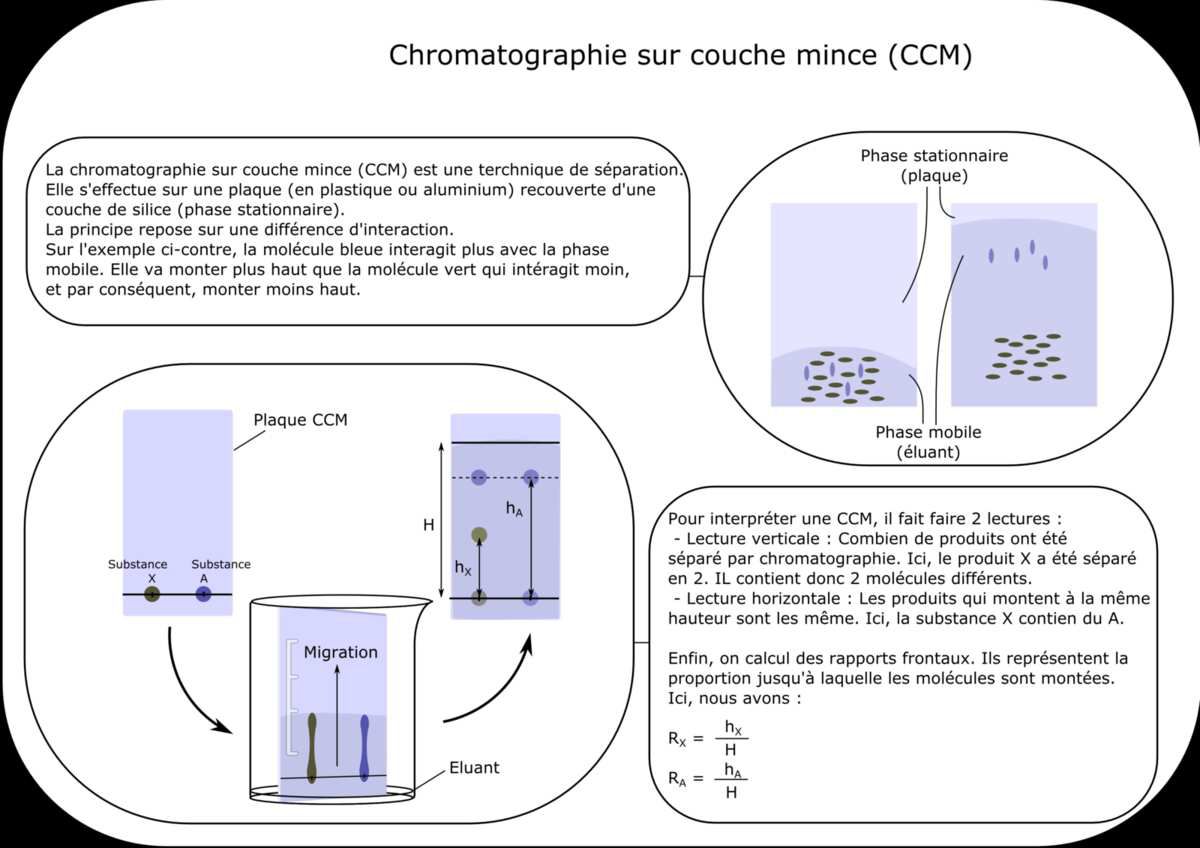 2nde : Chromatographie sur couche mince - Physique Chimie