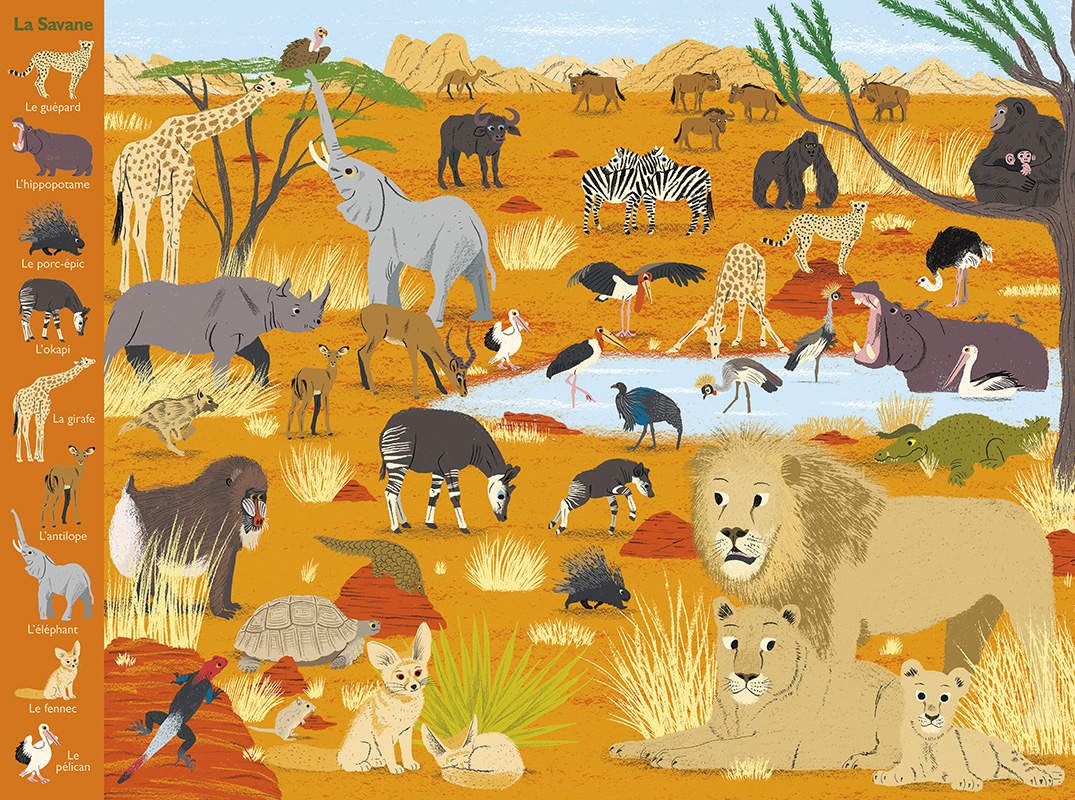 Mon Tour Du Monde Geant Des Animaux Julie Lit