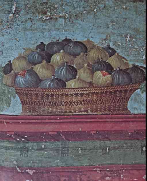 Oplontis - La Villa de Poppée Ob_2e085a_panier-de-figues-mures-jpg