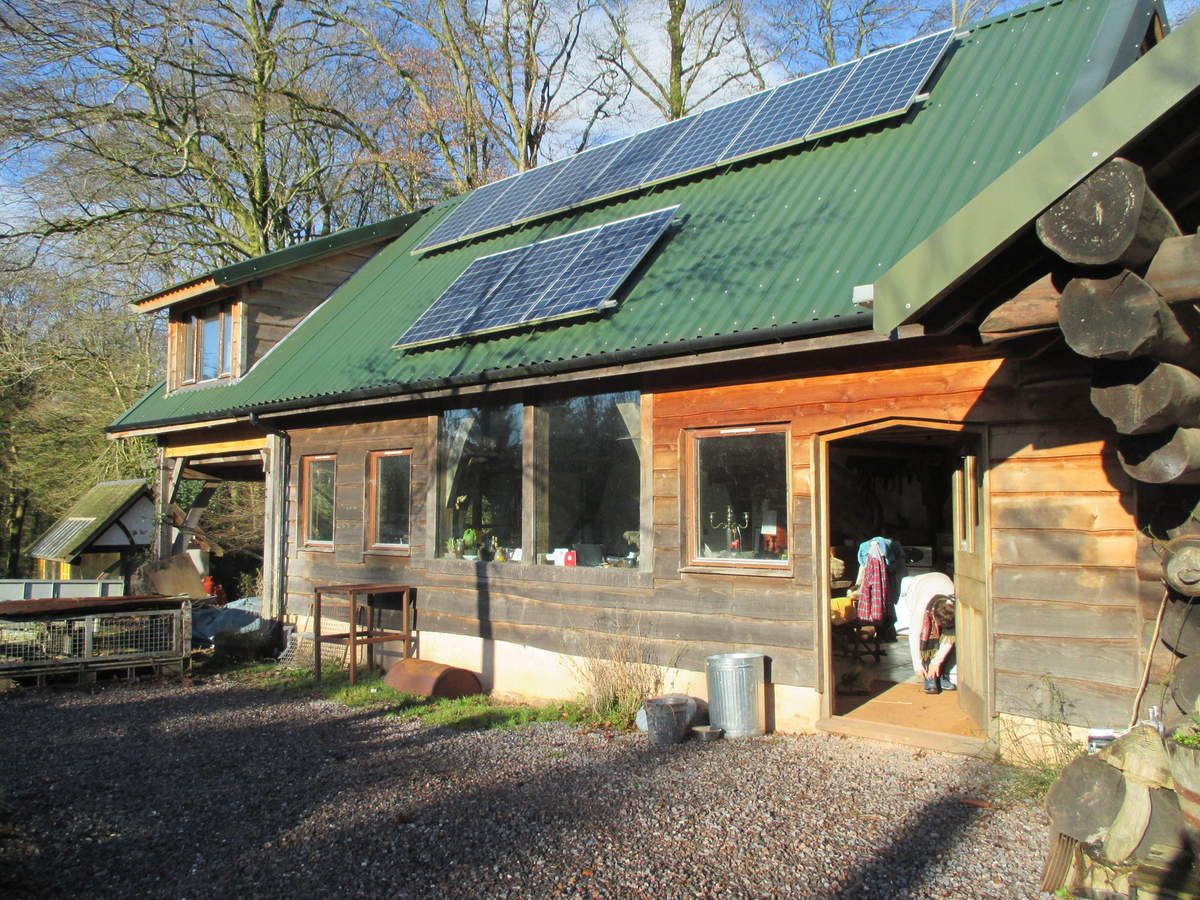 Taunton et Rogus Les aventures de Toutou et La Roche